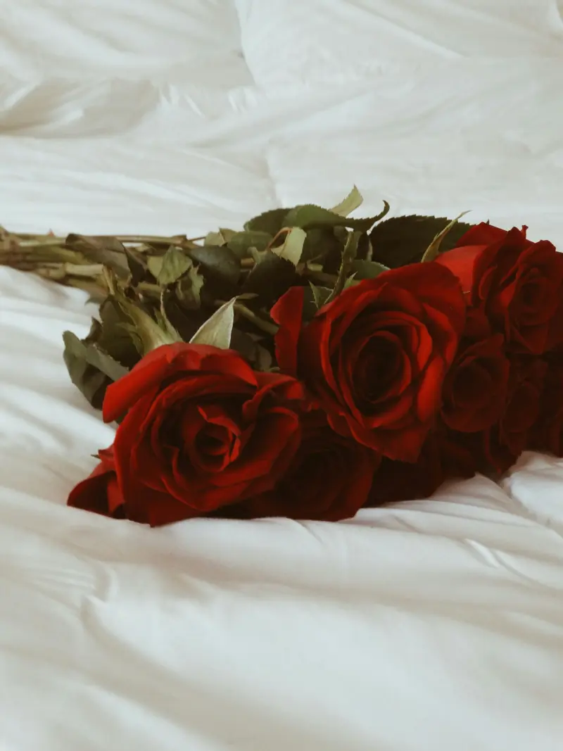 Bouquet de roses rouges posé sur un lit blanc